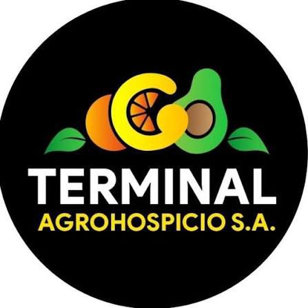 terminal_agro_hospicio